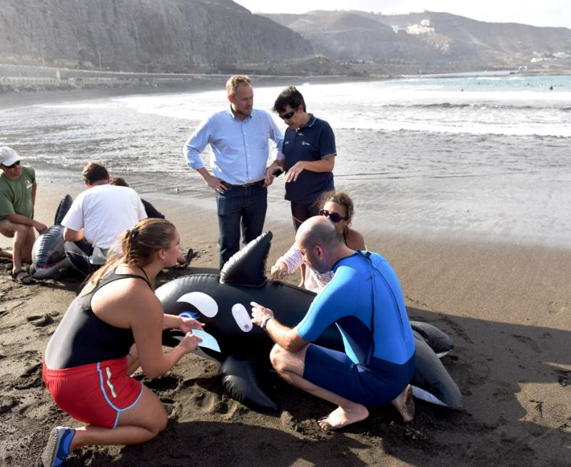 CIUDAD-DE-MAR-_-Concejal-Jose-Eduardo-Ramirez-Playa-de-La-Laja-Taller-asistencia-cetaceos-varados