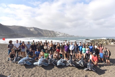 La playa de La Laja acoge el taller sobre varamiento de cetáceos del IX Congreso de la Sociedad Española de Cetáceos 