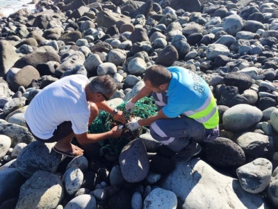 Ciudad de Mar rescata una tortuga marina atrapada por una red de pesca en la zona de El Lloret 