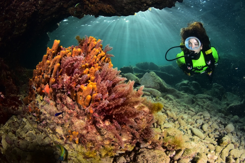 MEJOR-MODELO-MARTA-ROMERO-GOAR-GARCÍA