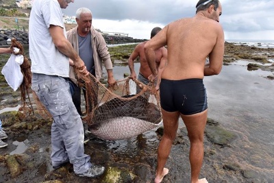 Técnicos de Ciudad de Mar, junto con varios ciudadanos, rescatan un chucho que quedó atrapado en las piscinas de La Laja 
